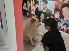 -肆兮眼镜·蔡司·徕卡战略合作店(大坪店)