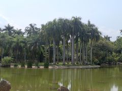 -中国科学院西双版纳热带植物园