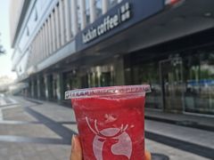 冰镇杨梅瑞纳冰-瑞幸咖啡(亿城国际中心店)