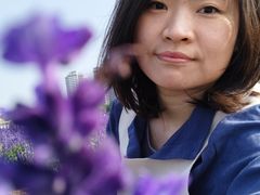 -玫瑰海岸文化旅游度假区