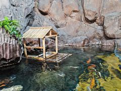 -上海海洋水族馆