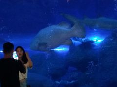 -成都浩海立方海洋公园