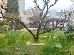 -九献创意菜·牛排馆(亮马河花园店)