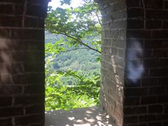 -玉泉威虎山森林公园