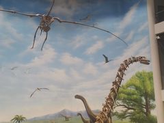 -辽宁古生物博物馆