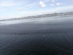 -台山黑沙湾海浴场