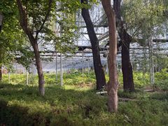 -洛阳市隋唐城遗址植物园