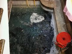 -旭龙鱼头王(航华店)