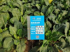 -上膳源有机农场