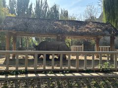 -石家庄市动物园