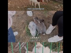 -菊园百果园