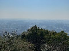 -杭州半山国家森林公园