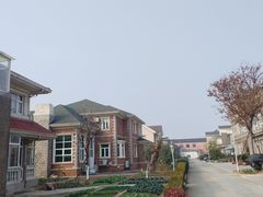 -华西村