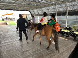 -小蜜蜂农场(凯德七宝购物广场店)