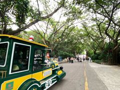 -深圳野生动物园