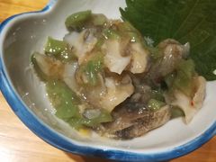 -九州酒场ひこぞう(2号店)
