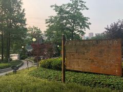 -重庆彩云湖湿地公园