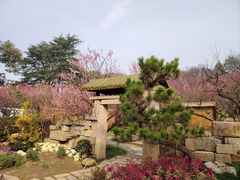 -无锡梅园公园