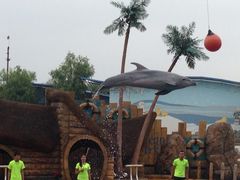 iphone_upload_pic-秦皇岛乐岛海洋王国