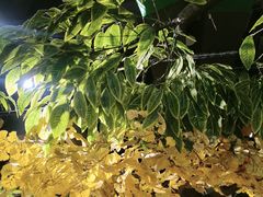 -城墙拐拐火锅(三峡广场黑金冠店)