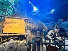 -广富林郊野公园