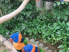 -南宫五洲植物乐园