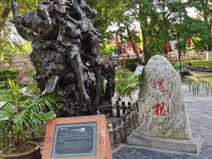 -大槐树寻根祭祖园
