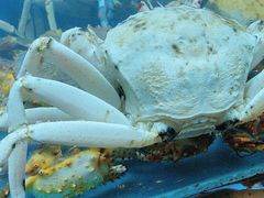 -阳光码头海鲜火锅(玉立路店)