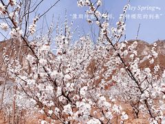 -野鸭湖国家湿地公园