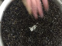 -绝味鸭脖(五一广场店)