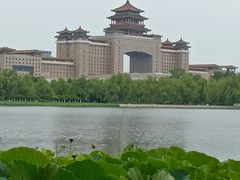 -莲花池公园