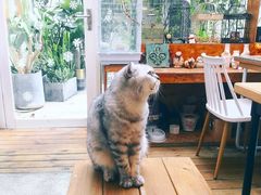 -拾壹cafe·工作室