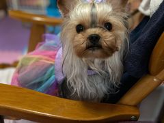 -阿姨卷饼(平凉路店)