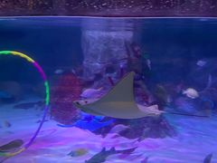 -沈阳海洋探索中心