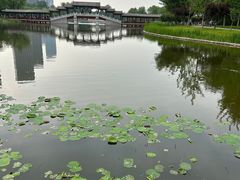 -西海子公园