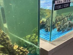 -宴小馆·小海鲜青岛菜(五四广场店)