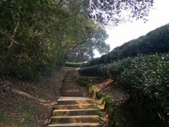 -西湖风景区十里琅珰-五云山