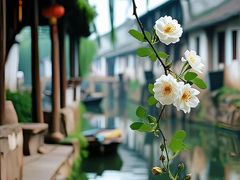 -青龙湖公园