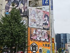 -秋叶原电器街