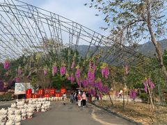 -牛鱼嘴原始生态风景区