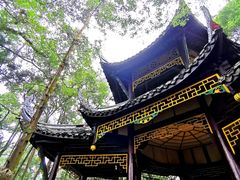 -峨眉山报国寺