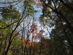 -玉渡山自然风景区