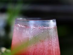 缤纷莓果气泡水-自由生长植物工作室(深港花卉中心店)