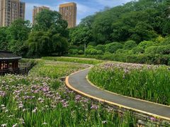 -龙头寺公园
