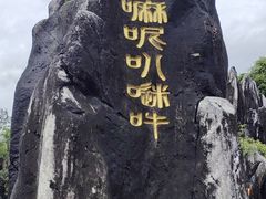 -玉石林风景区