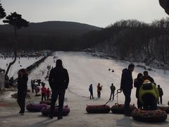 -五家山森林公园滑雪场