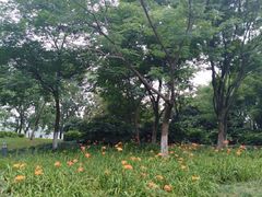 -白塘生态植物园