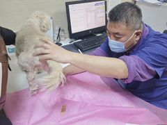 -北京观赏动物医院·24小时大型综合·猫专科·异宠专科