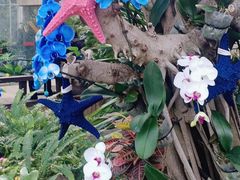 -北京植物园-展览温室