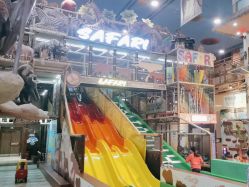 -卡通尼·Safari非洲探索乐园·生日会(金桥国际商业广场店)